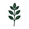 logo of a thyme leaf